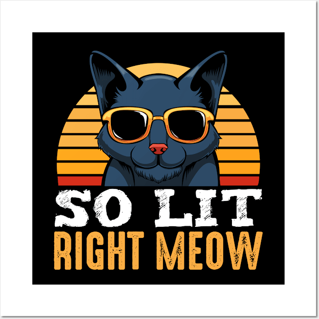 So Lit Right Meow Party Raver Cat Music Techno DJ Wall Art by Funnyawesomedesigns